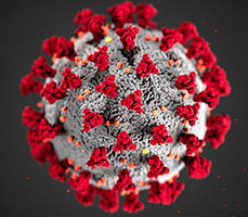 Coronavirus virus under the microscope