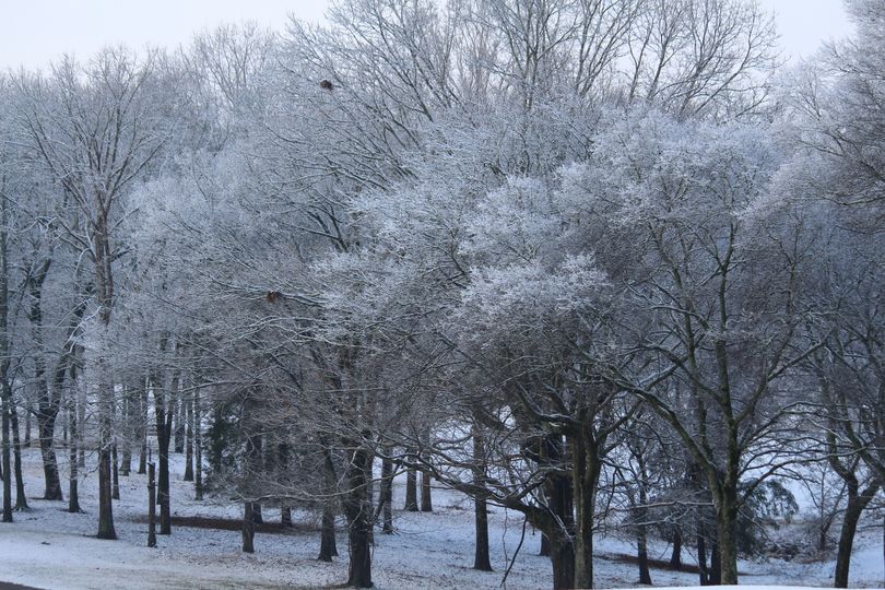 Winter scenics taken in Chapel Hill, Tennessee. Photo by Kay Panovec